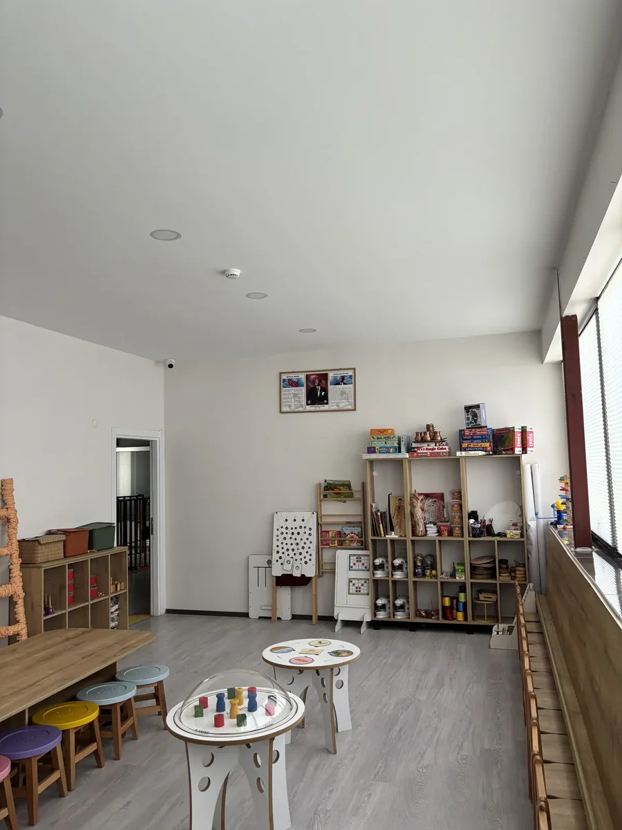 Mor Kapsül fotoğrafı 4